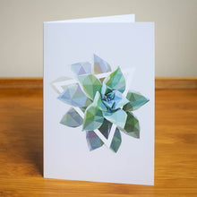 Card Set - 5 Succulent Plant Greeting Cards (blank inside)