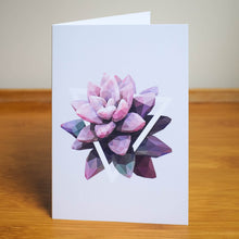 Card Set - 5 Succulent Plant Greeting Cards (blank inside)