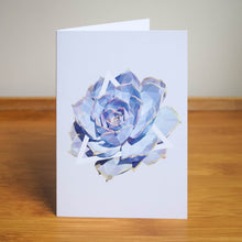 Card Set - 5 Succulent Plant Greeting Cards (blank inside)