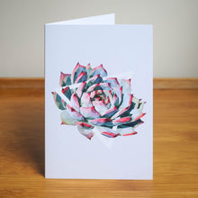 Card Set - 5 Succulent Plant Greeting Cards (blank inside)