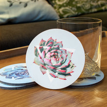Coaster Set - Succulents