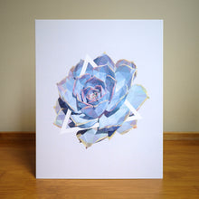 Art Print - Succulents - #5 (the blue one)