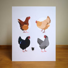 Art Print - Chickens - The Ladies