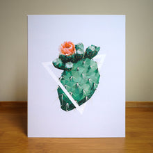 Art Print - Succulents - #3 (the cactus)