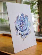Art Print - Succulents - #5 (the blue one)
