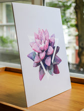 Art Print - Succulents - #2 (the pink one)