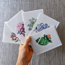 Card Set - 5 Succulent Plant Greeting Cards (blank inside)