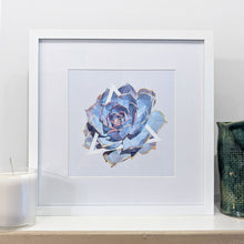 Art Print - Succulents - #5 (the blue one)