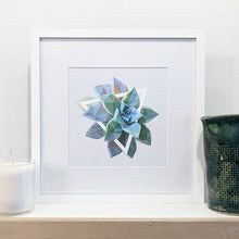 Art Print - Succulents - #1 (the green one)