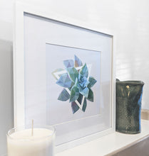 Art Print - Succulents - #1 (the green one)