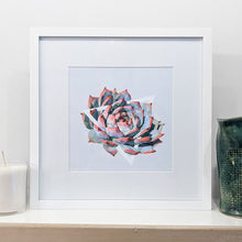 Art Print - Succulents - #4 (the red tipped one)