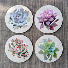 Coaster Set - Succulents