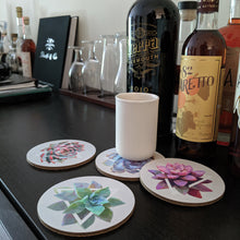 Coaster Set - Succulents