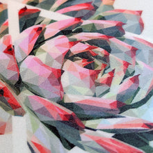 Coaster Set - Succulents