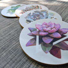 Coaster Set - Succulents