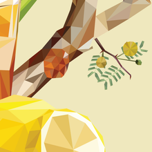 Art Print - Cocktails - Bourbon Sour